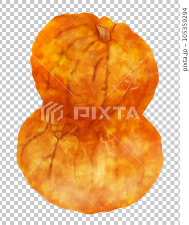 鹿ケ谷かぼちゃ 鹿ケ谷かぼちゃ 105359294