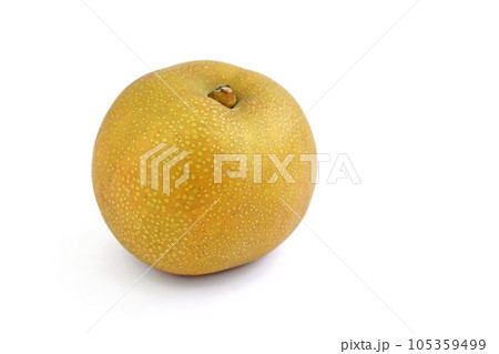 梨（幸水） 105359499