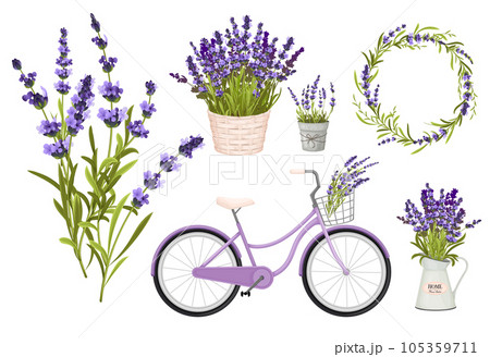 Lavender Flowers Icon Set 105359711