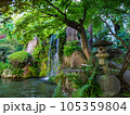 新緑に包まれた滝 105359804