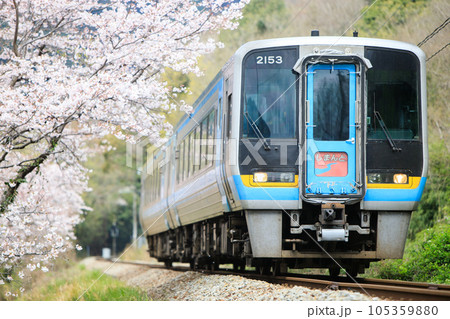 春の土讃線を行く特急「しまんと」（JR四国） 105359880
