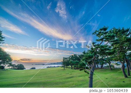 「青森県」種差海岸から見る朝焼け　八戸市 105360439