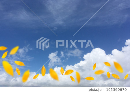 夏空にヒマワリの花びらが舞う、晴れやかな背景イメージ 夏空にヒマワリの花びらが舞う、晴れやかな背景イメージ 105360670