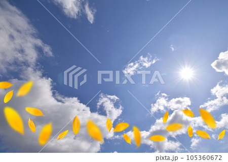 夏空にヒマワリの花びらが舞う、突き抜ける背景イメージ 105360672