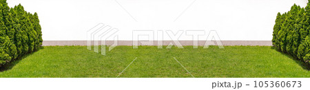 Green Hedge Texture Background, Leaves Wallpaper, Foliage Pattern, Green Plant Wall Mockup Green Hedge Texture Background, Leaves Wallpaper, Foliage Pattern, Green Plant Wall Mockup 105360673