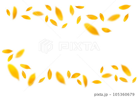 ヒマワリの花びらを切り抜いた、真夏の背景イメージ ヒマワリの花びらを切り抜いた、真夏の背景イメージ 105360679