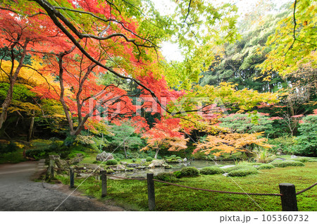 紅葉のある日本庭園 105360732