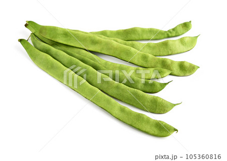 モロッコいんげん モロッコいんげん 105360816