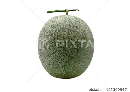 Japanese melon isolated on white background with a clipping path Japanese melon isolated on white background with a clipping path 105360947