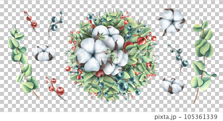 Christmas, New Year's, winter composition of eucalyptus branches, cotton and decorative berries. Watercolor illustration, hand drawn. Set of isolated elements on a white background. Christmas, New Year's, winter composition of eucalyptus branches, cotton and decorative berries. Watercolor illustration, hand drawn. Set of isolated elements on a white background. 105361339