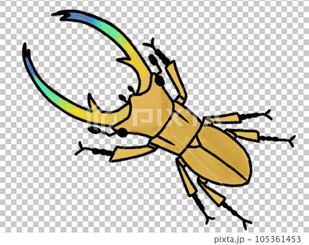 ホソアカクワガタ 105361453