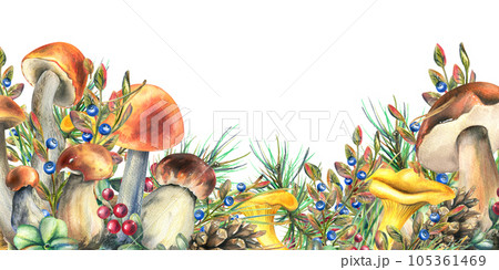 Forest mushrooms, boletus, chanterelles and blueberries, lingonberries, twigs, cones, leaves. Watercolor illustration, hand drawn template on a white background 105361469