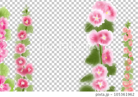 Card 2 of hollyhock flower Card 2 of hollyhock flower 105361962