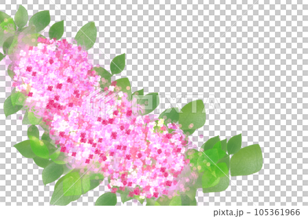 下野(シモツケ)の花のカード2 下野(シモツケ)の花のカード2 105361966