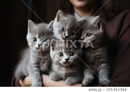 Hugging Many Kittens, a Bouquet of Kittens, Hands Hugs a Lot of Kittens, Abstract Generative AI Illustration 105362368