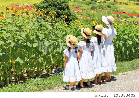 【香川県】夏の国営讃岐まんのう公園(ひまわり畑) 【香川県】夏の国営讃岐まんのう公園(ひまわり畑) 105363405
