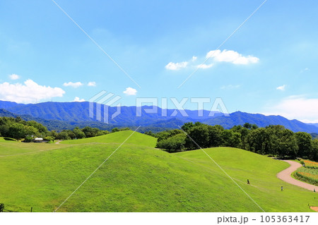 【香川県】夏の国営讃岐まんのう公園（芝生広場と青空） 105363417