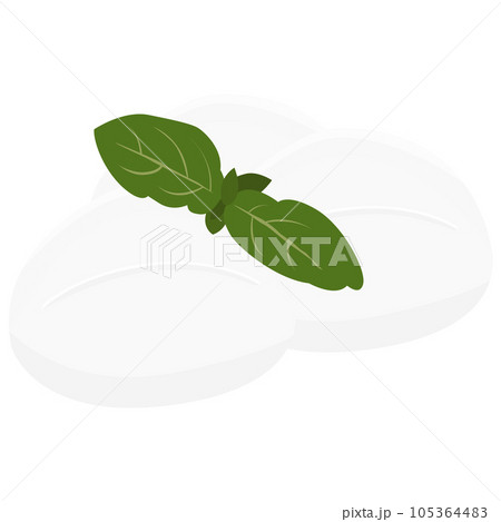 フレッシュチーズと葉っぱのイラスト素材 ベクター フレッシュチーズと葉っぱのイラスト素材 ベクター 105364483