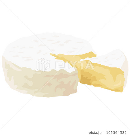 白カビチーズのイラスト素材　ベクター 105364522