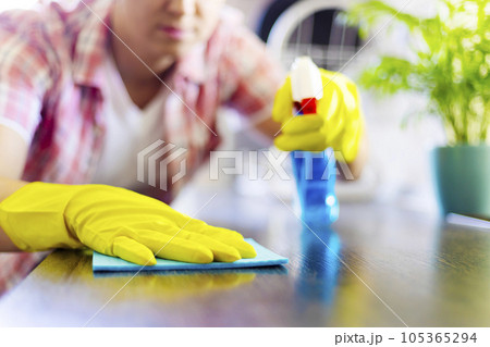 Housewife in yellow gloves wipes dust using spray detergent and rag Housewife in yellow gloves wipes dust using spray detergent and rag 105365294