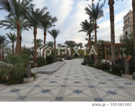 The view of palm trees and beautiful architecture on the territory of the castle in Egypt is the concept of a luxury trip. Rest on the territory of the hotel. The view of palm trees and beautiful architecture on the territory of the castle in Egypt is the concept of a luxury trip. Rest on the territory of the hotel. 105365302