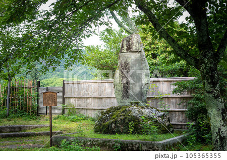 大覚寺門跡の夏、大沢池の畔に建つ苔むした石碑「津崎村岡碑」 105365355