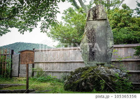 大覚寺門跡の夏、大沢池の畔に建つ苔むした石碑「津崎村岡碑」 105365356