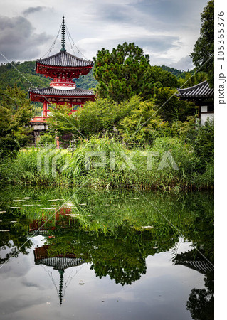 大覚寺門跡の夏、にわか雨の後に静かな水鏡となった大沢池に映る多宝塔 大覚寺門跡の夏、にわか雨の後に静かな水鏡となった大沢池に映る多宝塔 105365376