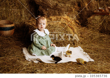 Small child with ducks 105365736