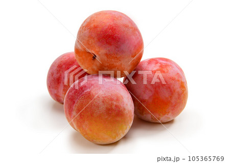 山梨県のサマーエンジェル  105365769