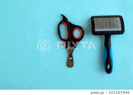 Scissors for trimming claws and a comb for a cat on a blue background, background with copy space. 105365946