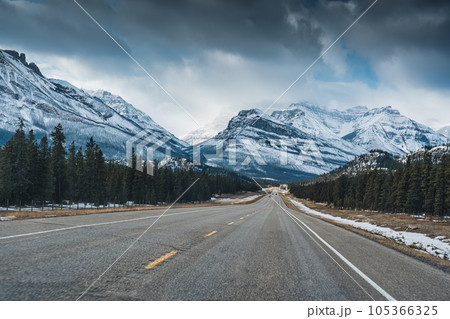 Highway road on the Icefields Parkway with rocky mountains and pine forest in winter 105366325