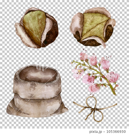 Set for the composition of roasted chestnuts. Chestnut inflorescence and canvas bag. Watercolor illustration 105366930