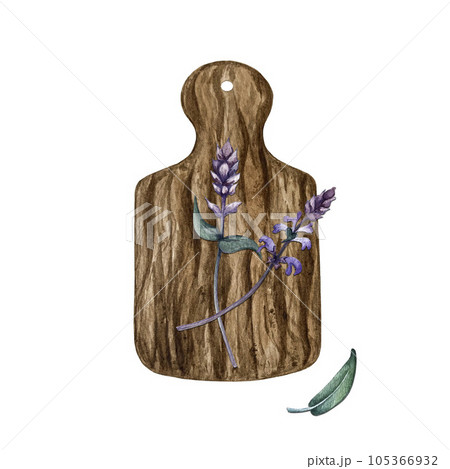 Composition of leaves and branches of sage. High quality watercolor illustration 105366932