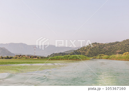 Montenegro, On a boat on waterway through green lily plants covering surface of skadar lake, a Montenegro, On a boat on waterway through green lily plants covering surface of skadar lake, a 105367160