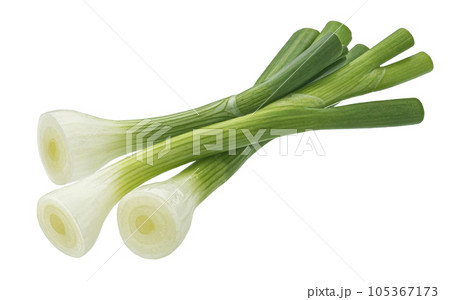 Green onion isolated on white background with clipping path Green onion isolated on white background with clipping path 105367173