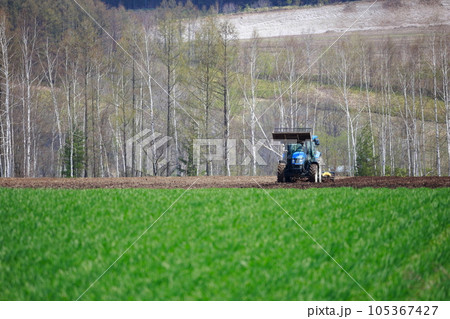 春の畑で畑を耕すトラクター 105367427
