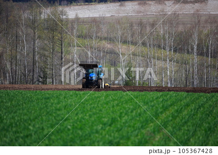 春の畑で畑を耕すトラクター 105367428
