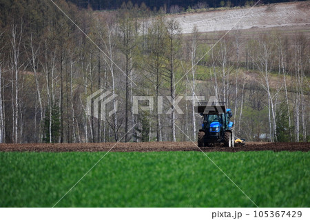 春の畑で畑を耕すトラクター 105367429