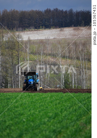 春の畑で畑を耕すトラクター 105367431