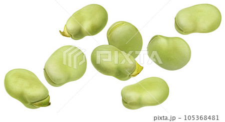 Falling Edamame beans isolated on white background 105368481