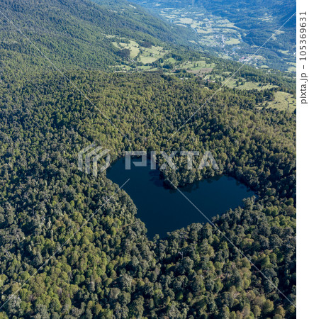 Heart lagoon, Laguna Corazon, Chile. Drone top down view go lagoon with the shape of a heart surrounded by forest, near Liquine, Region Los Lagos Chile 105369631