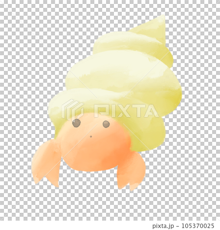 watercolor style hermit crab watercolor style hermit crab 105370025