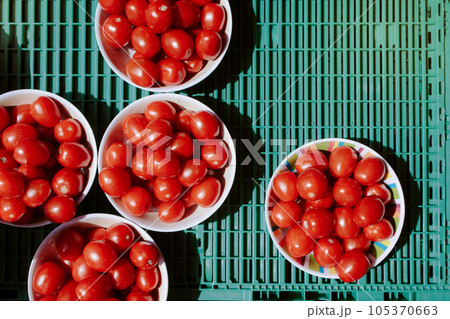 Plum tomatoes sold at green market Plum tomatoes sold at green market 105370663