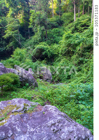 秩父 華厳の滝の滝下の岩石 真夏の季節 秩父 華厳の滝の滝下の岩石 真夏の季節 105371183