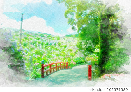 [愛知県]蒲郡市の形原温泉あじさいの里の水彩画 105371389