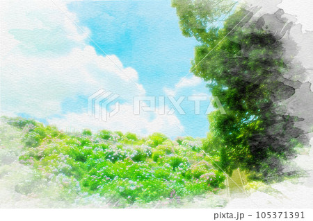 [愛知県]蒲郡市の形原温泉あじさいの里の水彩画 105371391