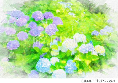 [愛知県]額田郡幸田町の本光寺の水彩画 105372064