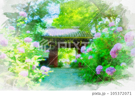 愛知県]額田郡幸田町の本光寺の水彩画のイラスト素材 [105372071] - PIXTA