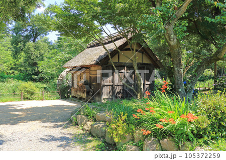 夏の安曇野　大王わさび農場の水車小屋 105372259